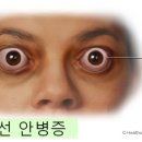대한갑상선영상의학회