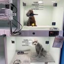 24시 아프리카동물병원 이미지