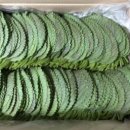 열음농장 이미지