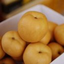 영화농산