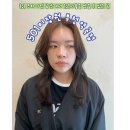헤어드레서미용실 | 부천 역곡역 미용실 추천 미장원501라미 헤어드레서 커트 및 염색 후기 가격정보 주차정보