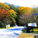 고창 선운산 단풍 이미지