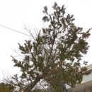 지리산다래랑민박 이미지