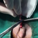 장현동물병원 이미지