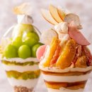 호텔파르페 이미지