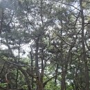 사방오리의 이름표 — 기억의 틈을 비추는 등불 이미지