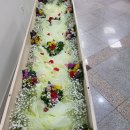 후불제상조장의사최씨