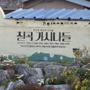 덕1리 | 경북 칠곡 가볼만한곳 2탄 (칠곡가시나들벽화거리,칠곡할매,신유장군유적지,곤산서원, 두반지 호반...