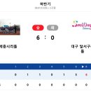 2019 U-10 하반기 전국리틀야구대회(화성드림파크) 이미지