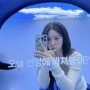 이음컴퍼니 이미지