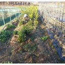 청수농장 이미지