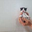 CU수성황금점 이미지