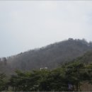 광덕면사무소 이미지