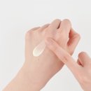 브라운랩 이미지