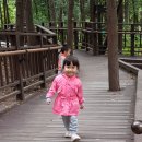 지영목장 이미지