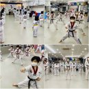 용인대 청룡 태권도 | 경기도 권선구 용인대청룡태권도, 가격, 연락처, 후기