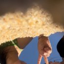 기정목장 이미지