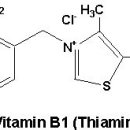 서내과의원 이미지