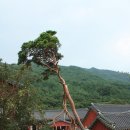 함께 걷고, 잠시 머물고 싶은 곳을 찾아서 이미지