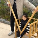 공주이모부