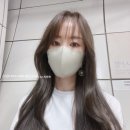 최원화벨레사 네이버블로그