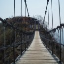 하동 섬진강변 성재봉~ 최참판댁의 새봄 맞이 이미지