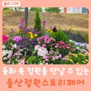 울산에서 만나는 동화 같은 정원: 2024 울산 정원 스토리 페어 후기