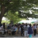 백세밀영농조합 네이버블로그