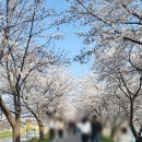 변호사이채윤법률사무소 이미지