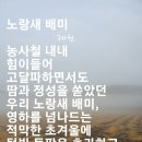 노랑새 배미 이미지