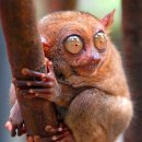 눈빛안경 이미지