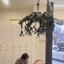 불당유치원 | 천안미용실 남자머리 남자아이펌 추천 유아트헤어 불당 / 가르마펌 성공 후기