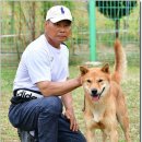 까치말진돗개농장 이미지