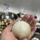 천수만우렁쌈밥 이미지