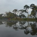 대정호수 이미지