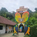 나비농장2 이미지