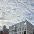 어르신도서관 | 서울 강서 도서관 가양관에서 만난 아홉 분의 으뜸 어르신! '손주 마음 처방전' 특강 후기