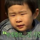 CJ BLOSSOM PARK 이미지