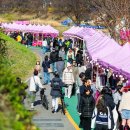 배터리살롱