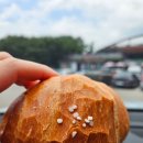 영월목장 | 영월소금빵 강원도영월 여행코스 디저트 소금빵 먹어본 후기