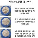 한들식품 네이버블로그