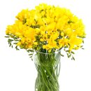 현대행정사사무소 이미지