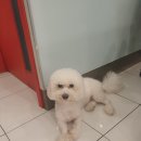 한강동물병원 이미지