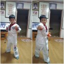 국기태권도 이미지