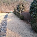 돌고래 노래연습장 이미지