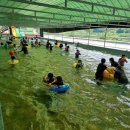 포동마을 이미지