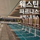 로그피트니스 | 더 웨스틴 서울 파르나스 코엑스 호캉스 추천 수영장 피트니스 후기