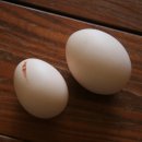 혁이농장 이미지