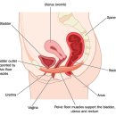 필라테스희 - 송파구 중대로23길 21 | 필라테스희