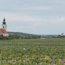 지명 카 서비스 이미지